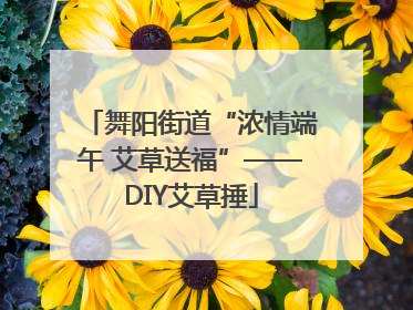 舞阳街道“浓情端午 艾草送福”——DIY艾草捶