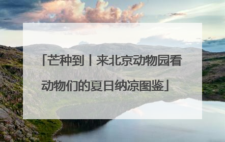 芒种到丨来北京动物园看动物们的夏日纳凉图鉴