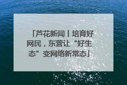 芦花新闻丨培育好网民，东营让“好生态”变网络新常态