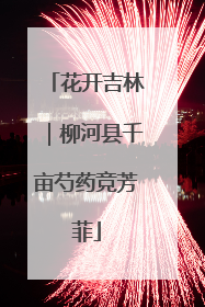 花开吉林｜柳河县千亩芍药竞芳菲