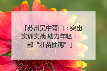 苏州吴中胥口：突出实训实战 助力年轻干部“壮苗抽穗”