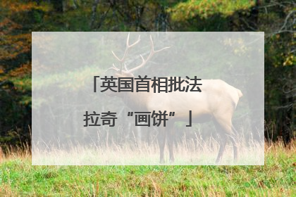 英国首相批法拉奇“画饼”