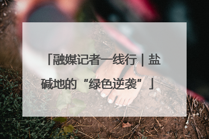 融媒记者一线行｜盐碱地的“绿色逆袭”