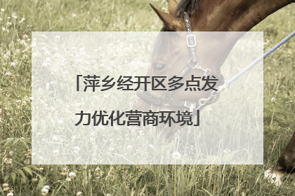 萍乡经开区多点发力优化营商环境