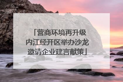 营商环境再升级 内江经开区举办沙龙邀请企业建言献策