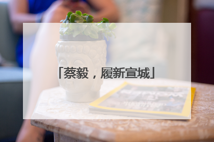 蔡毅，履新宣城