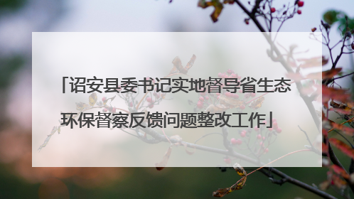 诏安县委书记实地督导省生态环保督察反馈问题整改工作