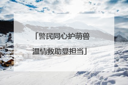 警民同心护萌兽 温情救助显担当