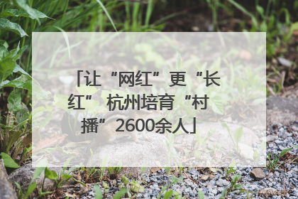 让“网红”更“长红” 杭州培育“村播”2600余人