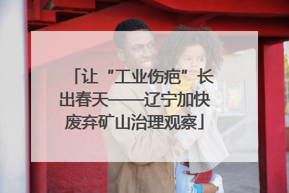 让“工业伤疤”长出春天——辽宁加快废弃矿山治理观察