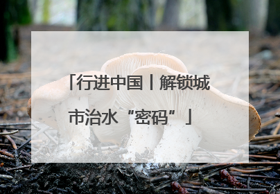 行进中国丨解锁城市治水“密码”