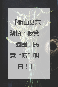 衡山县东湖镇：板凳一圈围，民意“唠”明白！