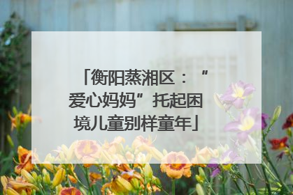 衡阳蒸湘区：“爱心妈妈”托起困境儿童别样童年