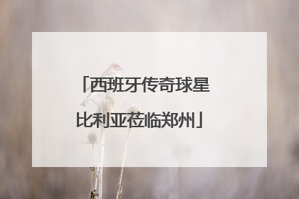 西班牙传奇球星 比利亚莅临郑州