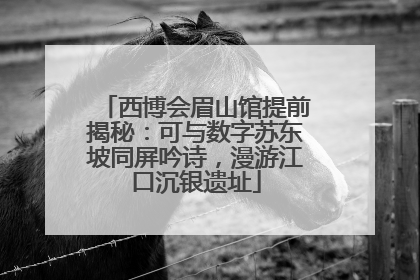 西博会眉山馆提前揭秘：可与数字苏东坡同屏吟诗，漫游江口沉银遗址
