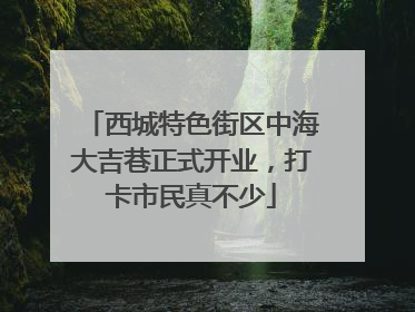 西城特色街区中海大吉巷正式开业，打卡市民真不少