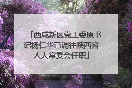 西咸新区党工委原书记杨仁华已调往陕西省人大常委会任职