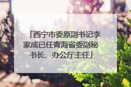 西宁市委原副书记李家成已任青海省委副秘书长、办公厅主任