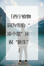 西宁植物园为雪豹“凌小蛰”庆祝“新生”