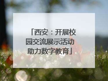 西安：开展校园交流展示活动助力数字教育