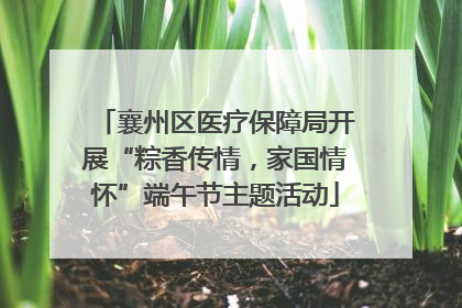 襄州区医疗保障局开展“粽香传情，家国情怀”端午节主题活动