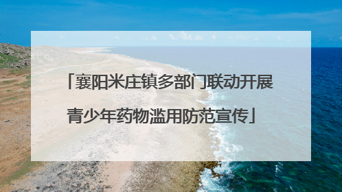 襄阳米庄镇多部门联动开展青少年药物滥用防范宣传