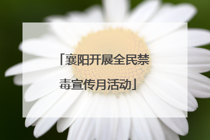 襄阳开展全民禁毒宣传月活动