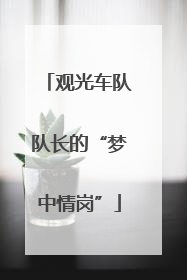 观光车队队长的“梦中情岗”
