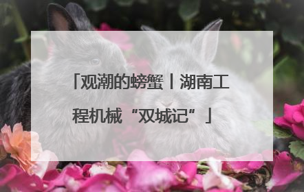 观潮的螃蟹丨湖南工程机械“双城记”