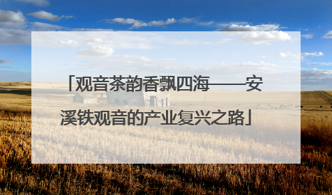 观音茶韵香飘四海——安溪铁观音的产业复兴之路