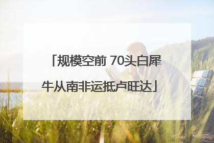 规模空前 70头白犀牛从南非运抵卢旺达