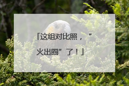 这组对比照，“火出圈”了！