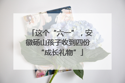 这个“六一”，安徽砀山孩子收到四份“成长礼物”