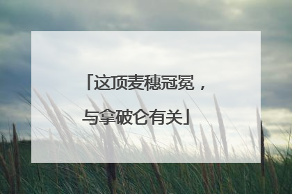 这顶麦穗冠冕，与拿破仑有关