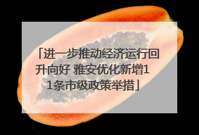 进一步推动经济运行回升向好 雅安优化新增11条市级政策举措