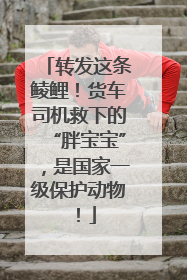 转发这条鲮鲤！货车司机救下的“胖宝宝”，是国家一级保护动物！