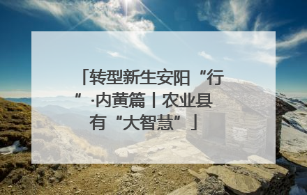 转型新生安阳“行”·内黄篇丨农业县有“大智慧”