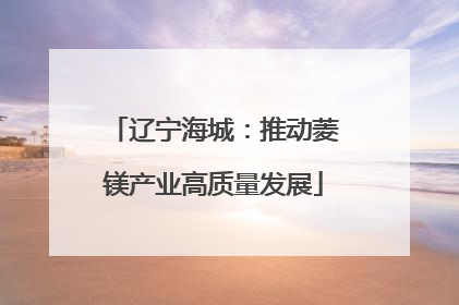 辽宁海城：推动菱镁产业高质量发展