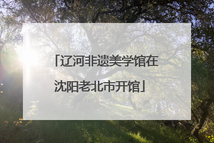辽河非遗美学馆在沈阳老北市开馆
