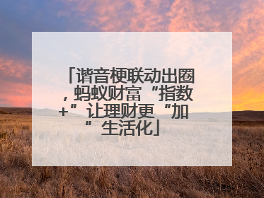 谐音梗联动出圈，蚂蚁财富“指数+”让理财更“加”生活化