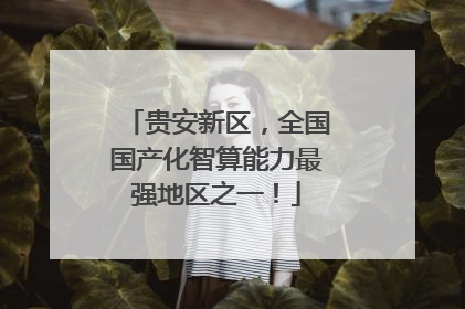 贵安新区，全国国产化智算能力最强地区之一！