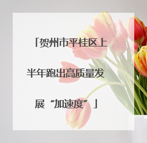 贺州市平桂区上半年跑出高质量发展“加速度”