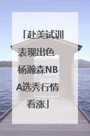 赴美试训表现出色 杨瀚森NBA选秀行情看涨