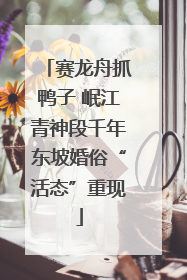 赛龙舟抓鸭子 岷江青神段千年东坡婚俗“活态”重现