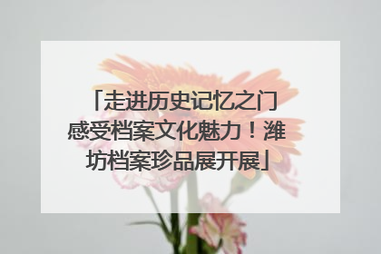 走进历史记忆之门 感受档案文化魅力！潍坊档案珍品展开展