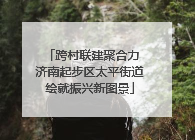 跨村联建聚合力 济南起步区太平街道绘就振兴新图景