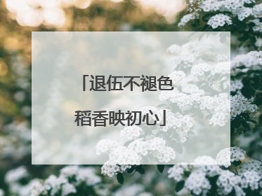 退伍不褪色 稻香映初心