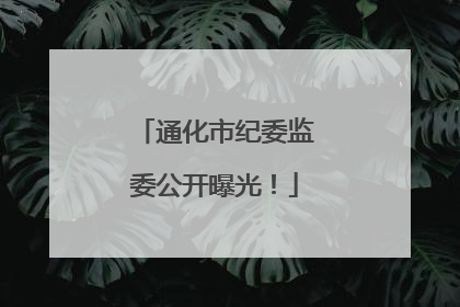 通化市纪委监委公开曝光！