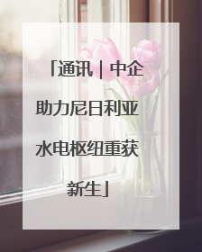 通讯｜中企助力尼日利亚水电枢纽重获新生