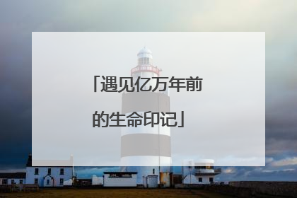 遇见亿万年前的生命印记